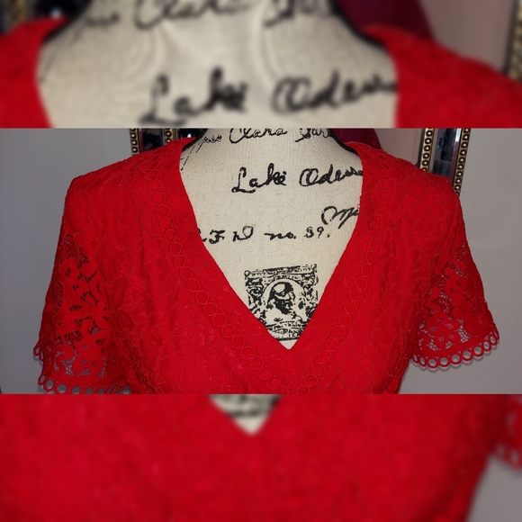 Nwt, Karl Lagerfeld Flounce Hem Embroidered Hot Red Party/Spring dress, Size 12 - Picture 5 of 6